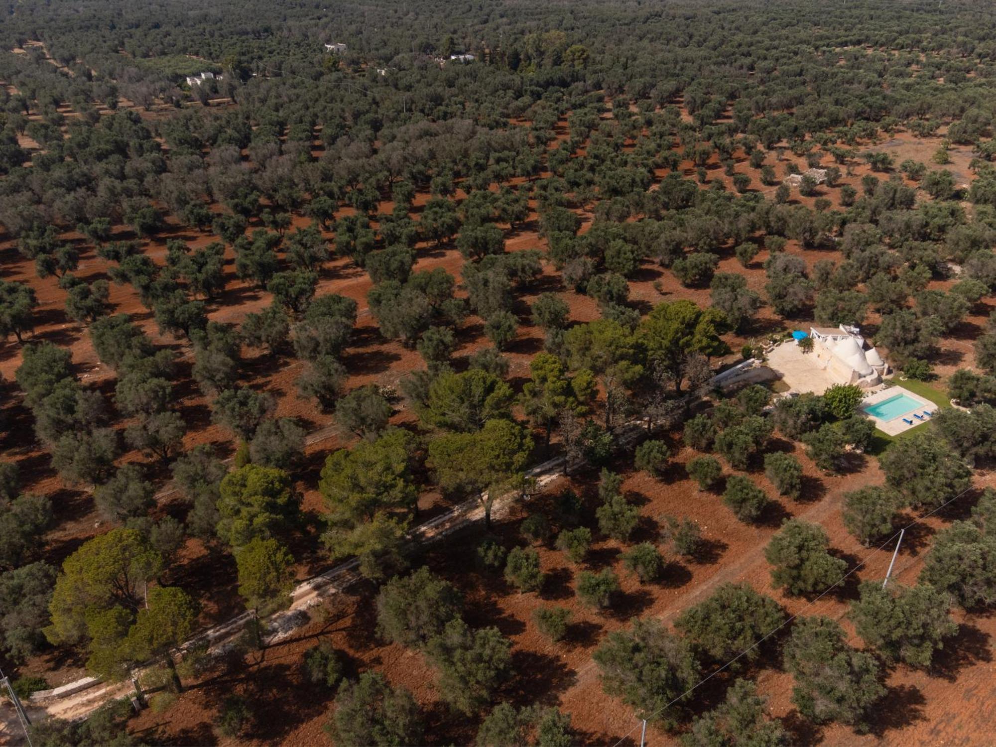Apartamento Trullo Tarantini Con Piscina Privata Latiano Exterior foto